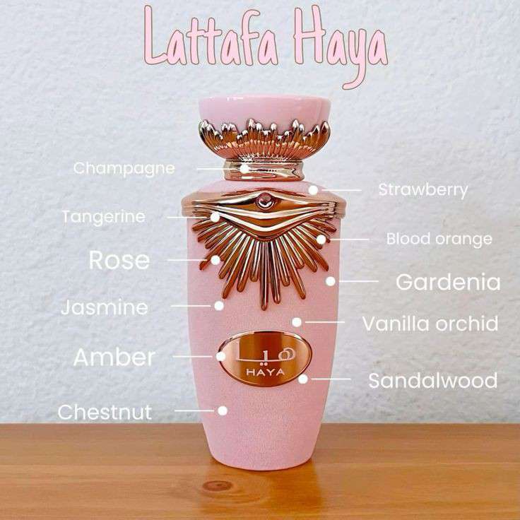 Haya 100ml